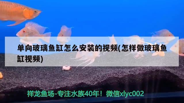 單向玻璃魚缸怎么安裝的視頻(怎樣做玻璃魚缸視頻)