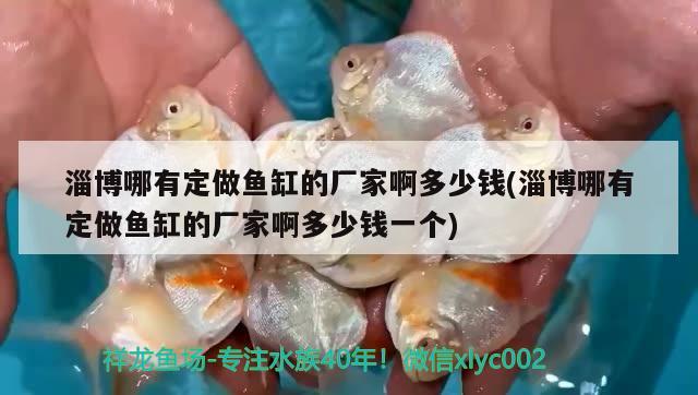 淄博哪有定做魚(yú)缸的廠(chǎng)家啊多少錢(qián)(淄博哪有定做魚(yú)缸的廠(chǎng)家啊多少錢(qián)一個(gè)) 七紋巨鯉魚(yú)