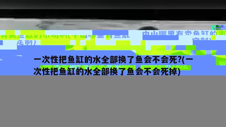 一次性把魚缸的水全部換了魚會不會死?(一次性把魚缸的水全部換了魚會不會死掉)