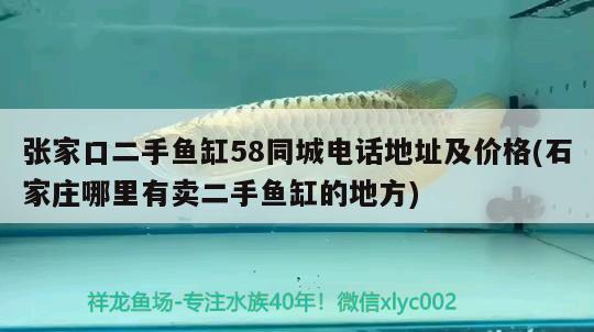 張家口二手魚缸58同城電話地址及價(jià)格(石家莊哪里有賣二手魚缸的地方)