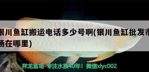 銀川魚(yú)缸搬運(yùn)電話多少號(hào)啊(銀川魚(yú)缸批發(fā)市場(chǎng)在哪里)