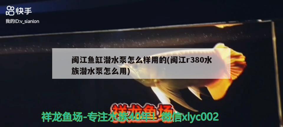 閩江魚缸潛水泵怎么樣用的(閩江r380水族潛水泵怎么用) 魚缸等水族設(shè)備