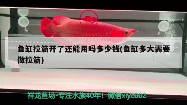 魚缸拉筋開了還能用嗎多少錢(魚缸多大需要做拉筋)