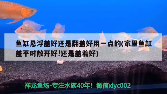 魚缸懸浮蓋好還是翻蓋好用一點的(家里魚缸蓋平時敞開好!還是蓋著好) 水族品牌