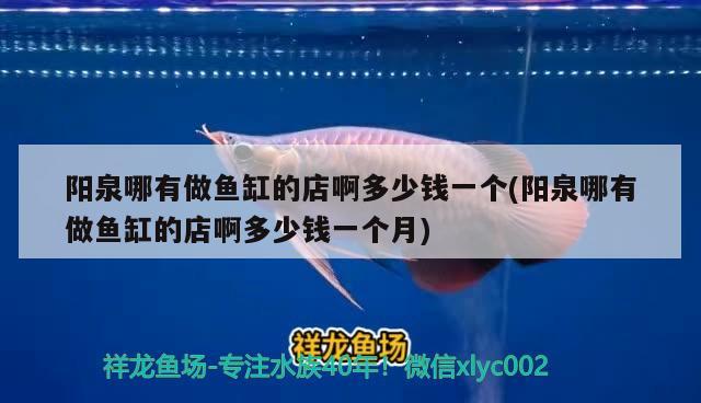 陽泉哪有做魚缸的店啊多少錢一個(gè)(陽泉哪有做魚缸的店啊多少錢一個(gè)月)