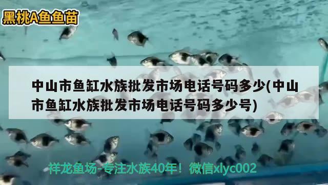 中山市魚缸水族批發(fā)市場(chǎng)電話號(hào)碼多少(中山市魚缸水族批發(fā)市場(chǎng)電話號(hào)碼多少號(hào)) 觀賞魚水族批發(fā)市場(chǎng)