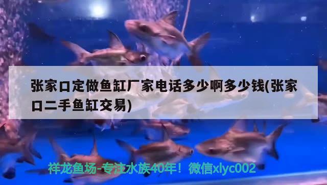 張家口定做魚缸廠家電話多少啊多少錢(張家口二手魚缸交易) BD魟魚 第1張