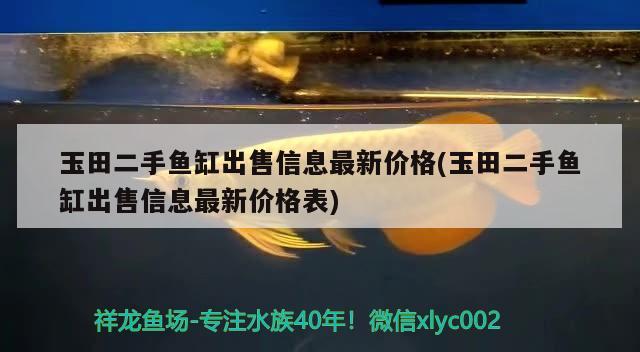 玉田二手魚缸出售信息最新價格(玉田二手魚缸出售信息最新價格表) 蝴蝶鯉