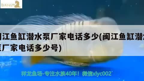 閩江魚缸潛水泵廠家電話多少(閩江魚缸潛水泵廠家電話多少號)