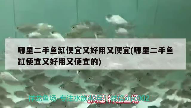 哪里二手魚缸便宜又好用又便宜(哪里二手魚缸便宜又好用又便宜的) 恐龍王魚