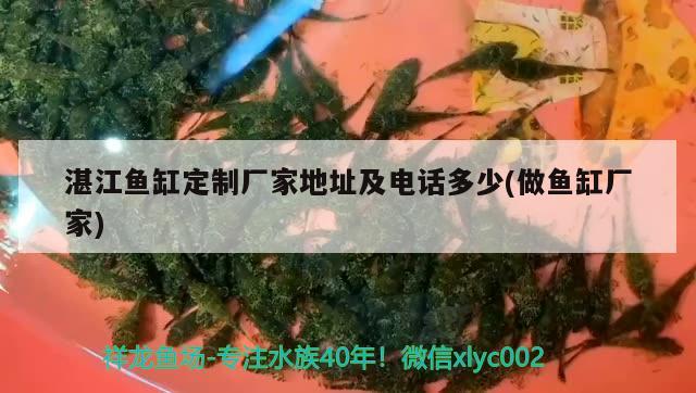 湛江魚缸定制廠家地址及電話多少(做魚缸廠家)