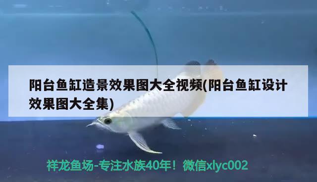 陽臺魚缸造景效果圖大全視頻(陽臺魚缸設計效果圖大全集) 印尼小紅龍