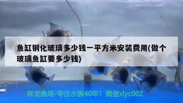 魚缸鋼化玻璃多少錢一平方米安裝費用(做個玻璃魚缸要多少錢) 圖騰金龍魚