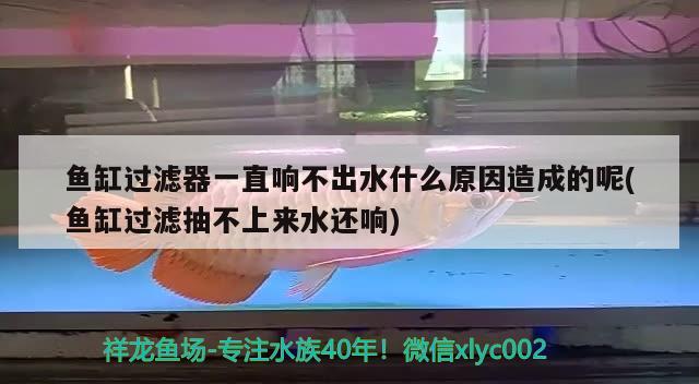 魚缸過濾器一直響不出水什么原因造成的呢(魚缸過濾抽不上來水還響)