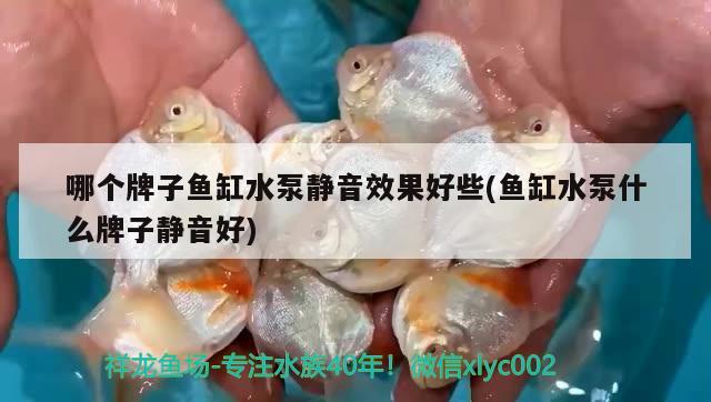 哪個牌子魚缸水泵靜音效果好些(魚缸水泵什么牌子靜音好)