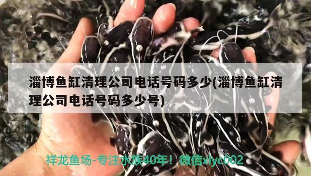 淄博魚缸清理公司電話號碼多少(淄博魚缸清理公司電話號碼多少號) 廣州水族器材濾材批發(fā)市場