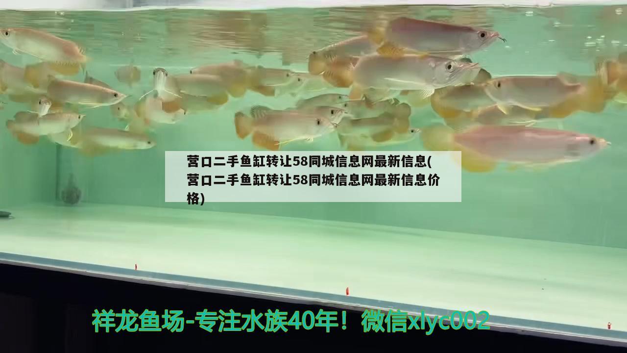 營口二手魚缸轉讓58同城信息網(wǎng)最新信息(營口二手魚缸轉讓58同城信息網(wǎng)最新信息價格)