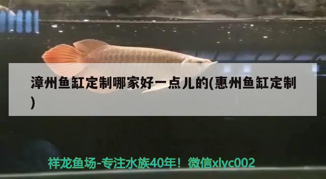 漳州魚缸定制哪家好一點(diǎn)兒的(惠州魚缸定制) 白子關(guān)刀魚