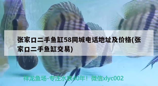 張家口二手魚缸58同城電話地址及價格(張家口二手魚缸交易)