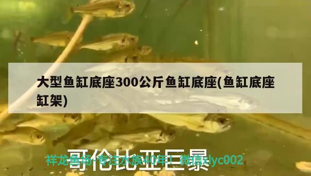 大型魚缸底座300公斤魚缸底座(魚缸底座缸架) 水族用品