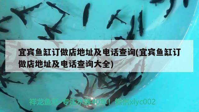 宜賓魚缸訂做店地址及電話查詢(宜賓魚缸訂做店地址及電話查詢大全) 白子銀版魚