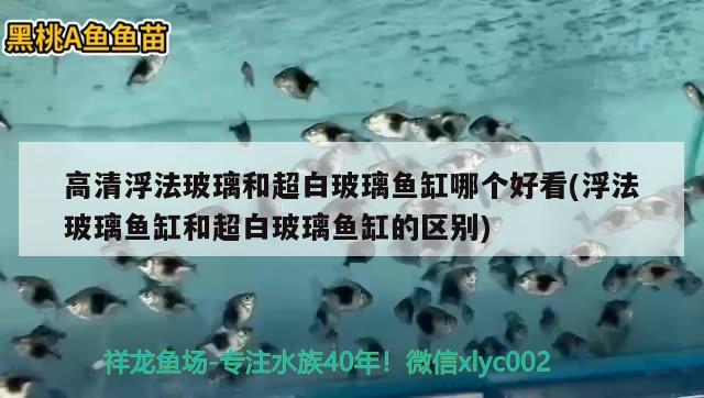 高清浮法玻璃和超白玻璃魚缸哪個(gè)好看(浮法玻璃魚缸和超白玻璃魚缸的區(qū)別)