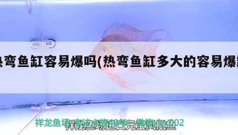 熱彎魚缸容易爆嗎(熱彎魚缸多大的容易爆缸)