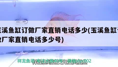 玉溪魚缸訂做廠家直銷電話多少(玉溪魚缸訂做廠家直銷電話多少號)