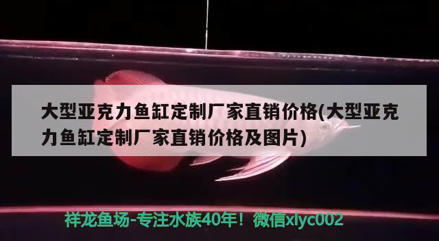 大型亞克力魚缸定制廠家直銷價格(大型亞克力魚缸定制廠家直銷價格及圖片) 祥龍龍魚專用水族燈