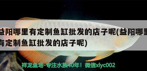 益陽哪里有定制魚缸批發(fā)的店子呢(益陽哪里有定制魚缸批發(fā)的店子呢) 龍魚芯片掃碼器