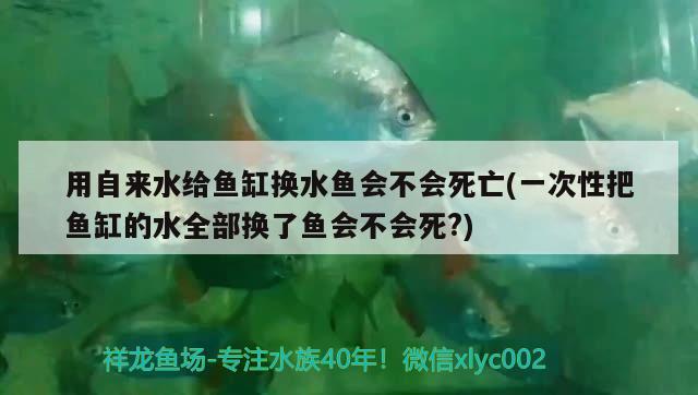 用自來(lái)水給魚缸換水魚會(huì)不會(huì)死亡(一次性把魚缸的水全部換了魚會(huì)不會(huì)死?)