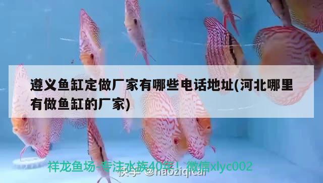 遵義魚(yú)缸定做廠家有哪些電話地址(河北哪里有做魚(yú)缸的廠家) 羅漢魚(yú)