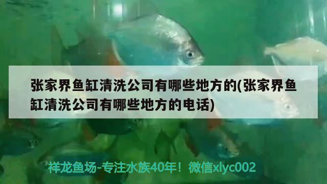 張家界魚缸清洗公司有哪些地方的(張家界魚缸清洗公司有哪些地方的電話) 黑水素