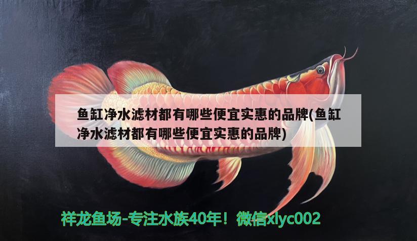 魚缸凈水濾材都有哪些便宜實惠的品牌(魚缸凈水濾材都有哪些便宜實惠的品牌)