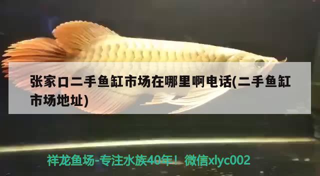 張家口二手魚(yú)缸市場(chǎng)在哪里啊電話(二手魚(yú)缸市場(chǎng)地址)