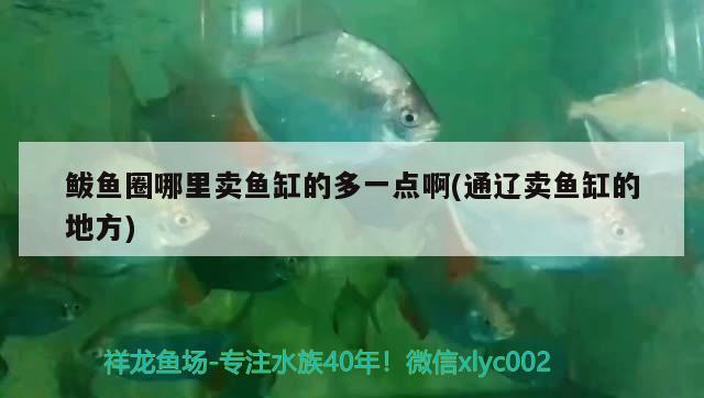 鲅魚圈哪里賣魚缸的多一點啊(通遼賣魚缸的地方)