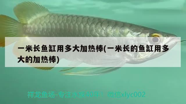 一米長(zhǎng)魚缸用多大加熱棒(一米長(zhǎng)的魚缸用多大的加熱棒)