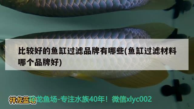 比較好的魚(yú)缸過(guò)濾品牌有哪些(魚(yú)缸過(guò)濾材料哪個(gè)品牌好)