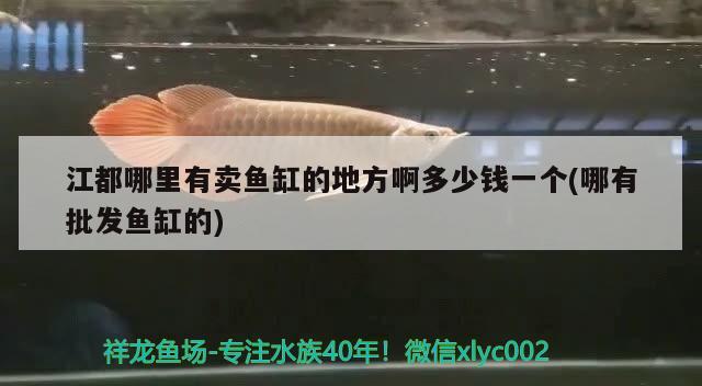 江都哪里有賣魚缸的地方啊多少錢一個(哪有批發(fā)魚缸的)