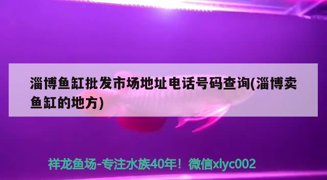 淄博魚缸批發(fā)市場地址電話號碼查詢(淄博賣魚缸的地方)