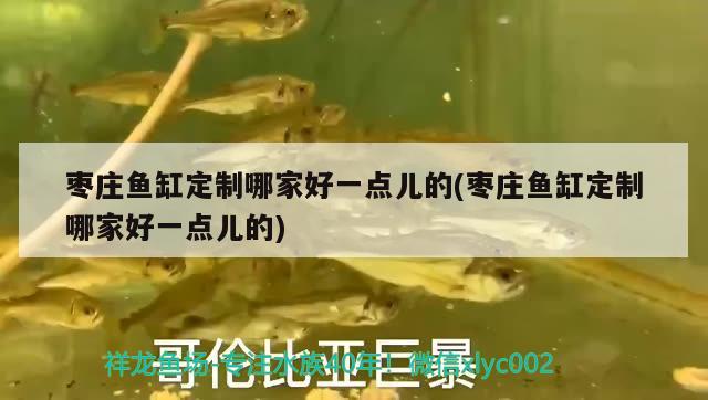 棗莊魚缸定制哪家好一點(diǎn)兒的(棗莊魚缸定制哪家好一點(diǎn)兒的)