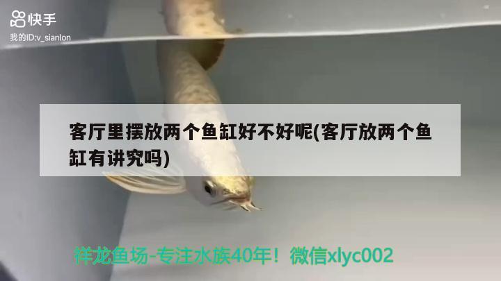 客廳里擺放兩個(gè)魚缸好不好呢(客廳放兩個(gè)魚缸有講究嗎)