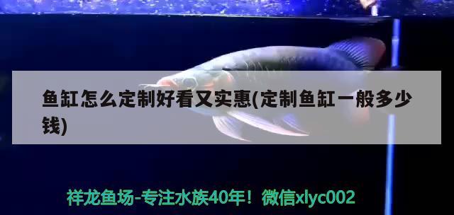 魚(yú)缸怎么定制好看又實(shí)惠(定制魚(yú)缸一般多少錢(qián)) 龍魚(yú)芯片掃碼器