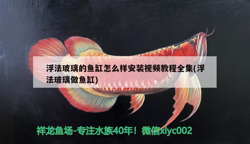 浮法玻璃的魚缸怎么樣安裝視頻教程全集(浮法玻璃做魚缸)