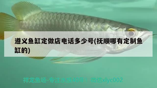 遵義魚缸定做店電話多少號(撫順哪有定制魚缸的) 祥龍魚場其他產(chǎn)品