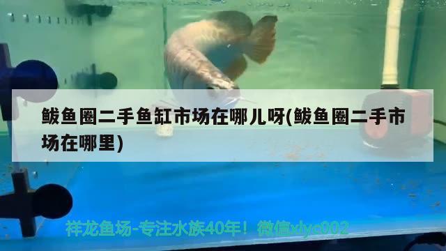 鲅魚圈二手魚缸市場在哪兒呀(鲅魚圈二手市場在哪里) 巴西亞魚苗