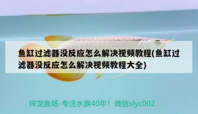 魚缸過濾器沒反應(yīng)怎么解決視頻教程(魚缸過濾器沒反應(yīng)怎么解決視頻教程大全) 溫控設(shè)備