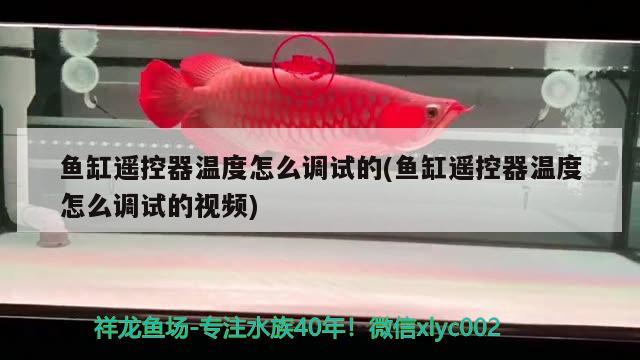 魚缸遙控器溫度怎么調(diào)試的(魚缸遙控器溫度怎么調(diào)試的視頻)