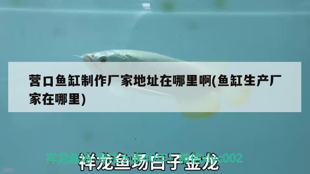 營(yíng)口魚(yú)缸制作廠家地址在哪里啊(魚(yú)缸生產(chǎn)廠家在哪里) 薩伊藍(lán)魚(yú)