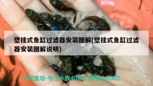 壁掛式魚缸過濾器安裝圖解(壁掛式魚缸過濾器安裝圖解說明) 福虎/異型虎魚/純色虎魚